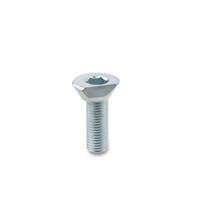 GN 418.2 Cam Point Screw